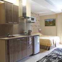 Superior One-Bedroom Apartment