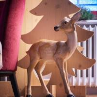 Double Room with Christmas Package