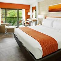 King Room with River View