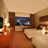 Deluxe Twin Room with City Wall View