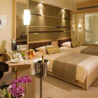Premier Double or Twin Room