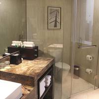 Premier Room, Guest room, 1 King