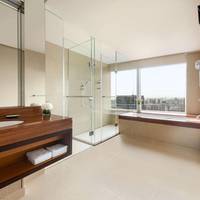Club Premier King Room with Park View