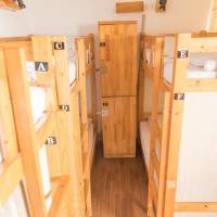 Bed in 8-Bed Dormitory Room