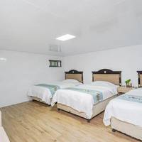 Triple Room without Window