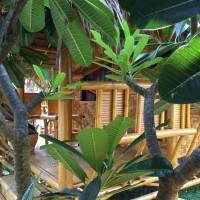 Family Bungalow
