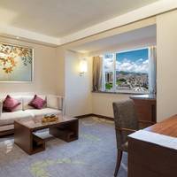 1 King 1 Bedroom Suite Living lounge Access