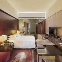 Deluxe Accessible King Room