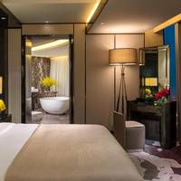 Deluxe King Suite with City View