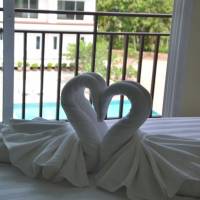 Deluxe Double or Twin Room with Pool View