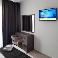 Deluxe One-Bedroom Apartment