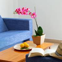 One-Bedroom Apartment (2 Adults)
