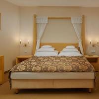 Standard Double Room with Atrium View