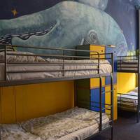 Bunk Bed in Mixed Dormitory Room