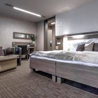 Deluxe Double Room with Free Access to Wellness and Fitness 