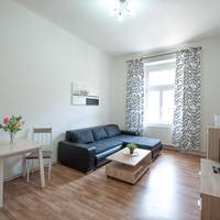 Deluxe One-Bedroom Apartment