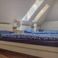 Single Bed in Mixed Dormitory Room