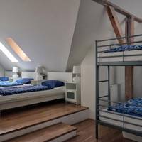 Single Bed in Mixed Dormitory Room