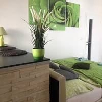 Studio with Terrace
