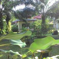 Bungalow with Garden View