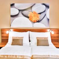 Business Double or Twin Room with Air-Conditioning