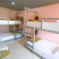 Dormitory Room with Shared Bathroom ( 4 Adults)