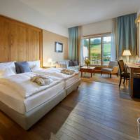 Double Room with Mountain View and Balcony - Hunau 