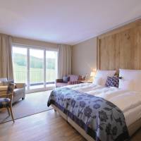 Double Room with Mountain View and Balcony - Rimberg 