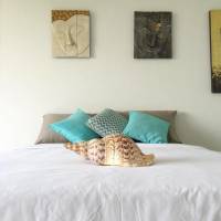 Studio Apartment with Sea View