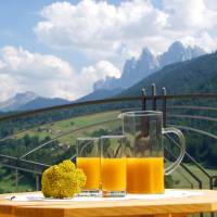 Apartment with Mountain View