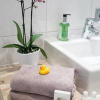 Comfort Single Room