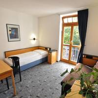 Large Single Room