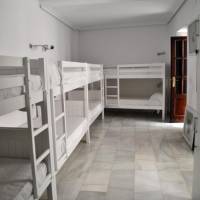 Bed in 8-Bed Mixed Dormitory Room
