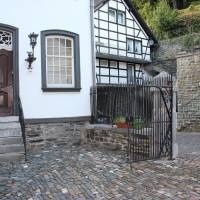 Apartment with Shower -Kesternich
