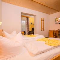 Double Room with Mountain View