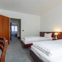 Basic Triple Room