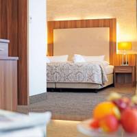 Premium Plus Double Room with 1 Double Bed