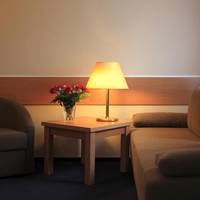 Family Room (3 Adults)
