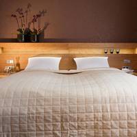 Double or Twin Room Orange Plus