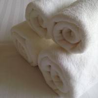 Executive Two-Bedroom Suite