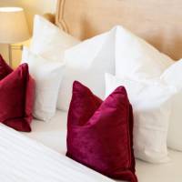 Comfort Single Room