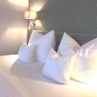 Premium Double Room with Single Occupancy