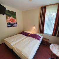 Budget Single Room