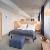 Junior Queen Suite