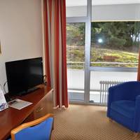 Standard Single Room with Forest View