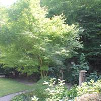 Одноместный