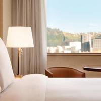 1 King Bed Executive Suite Premium