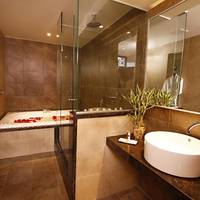 Premier Double Loft