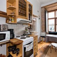 Historical Two-Bedroom Apartment with Sauna, Jacuzzi and Fireplace