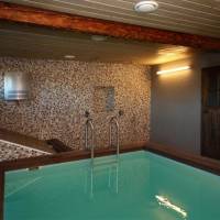 Family Room with Pool and Sauna